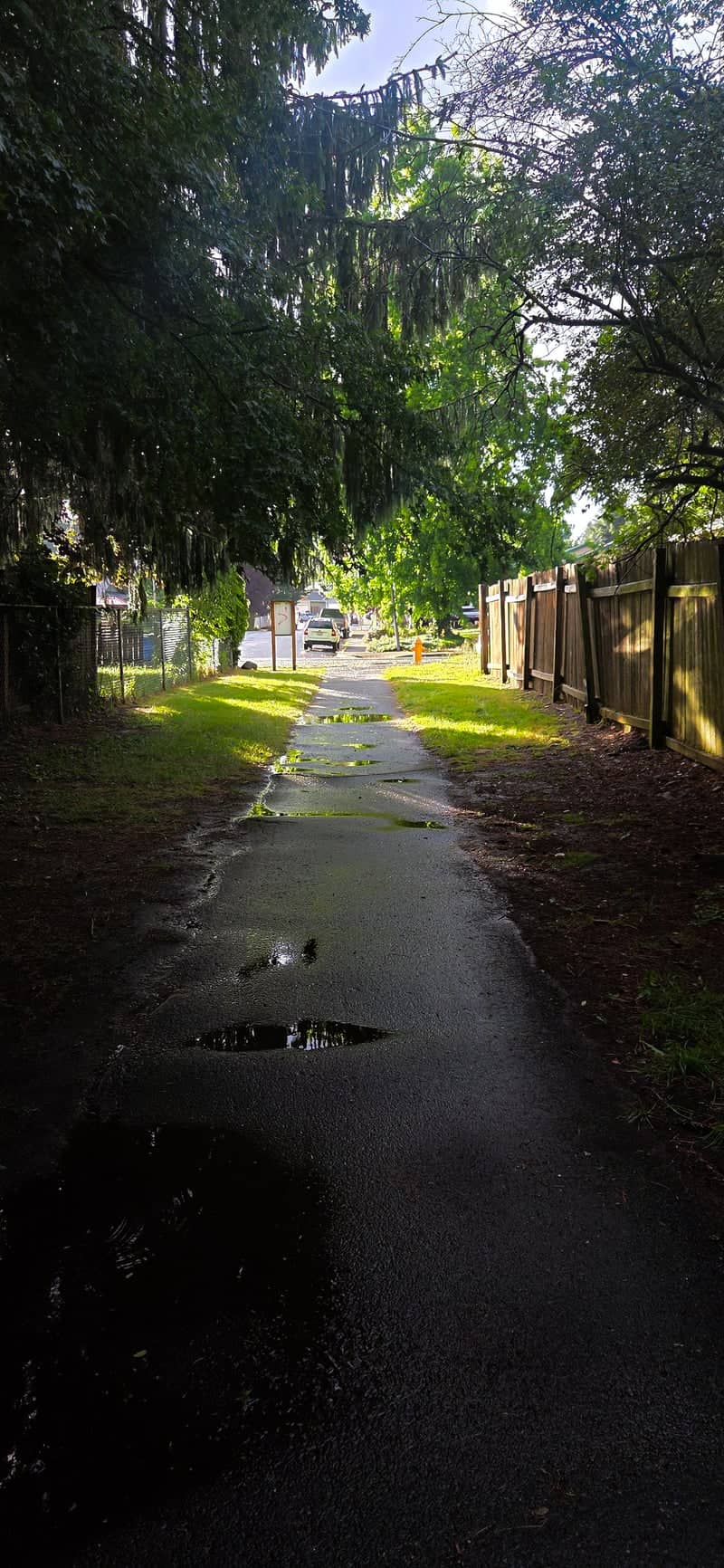 Washougal Residential Path - Image 1