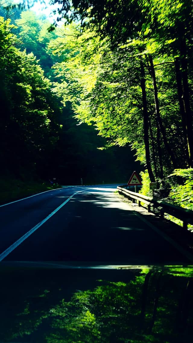 Alpenstraße Forest Road - Image 1