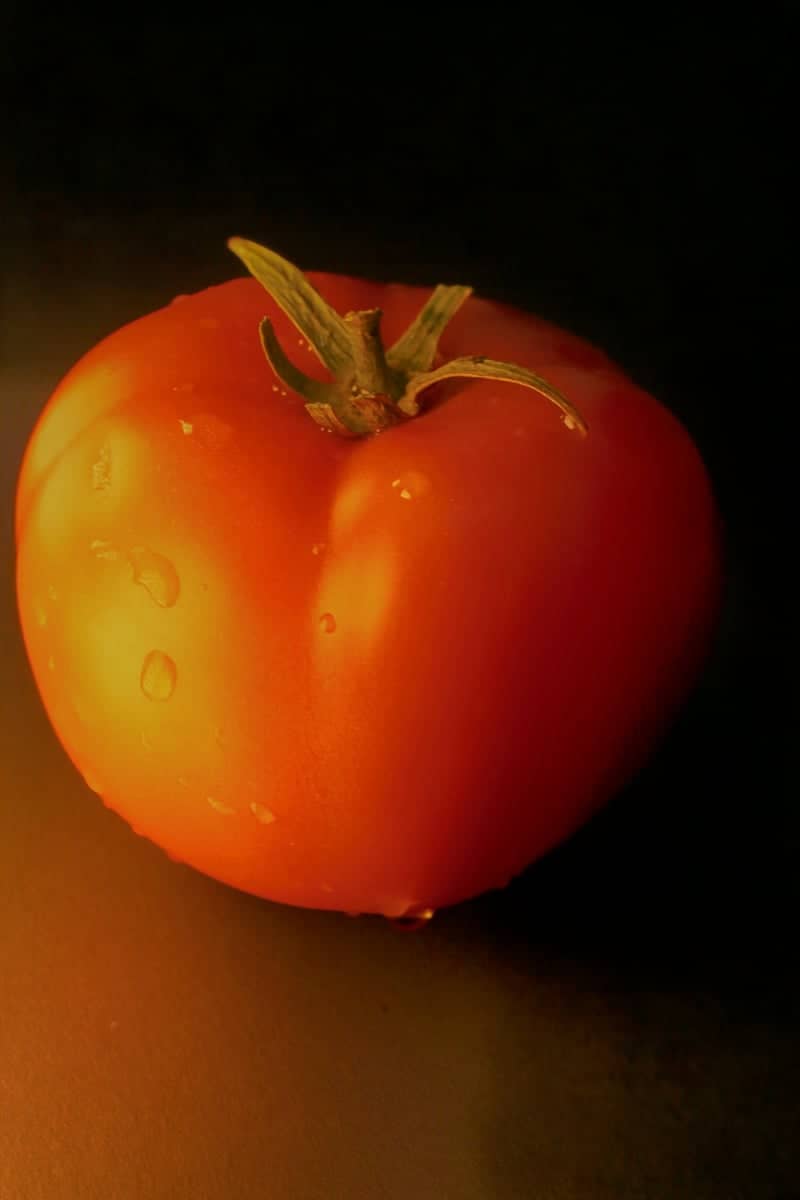Indoor Macro Photography Studio - Image 1