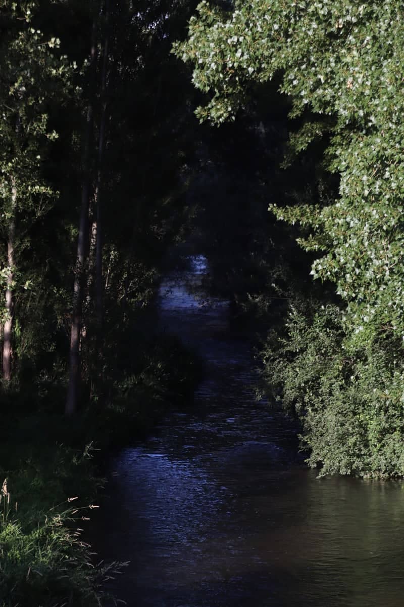 Arlanzón River Green Belt - Image 1