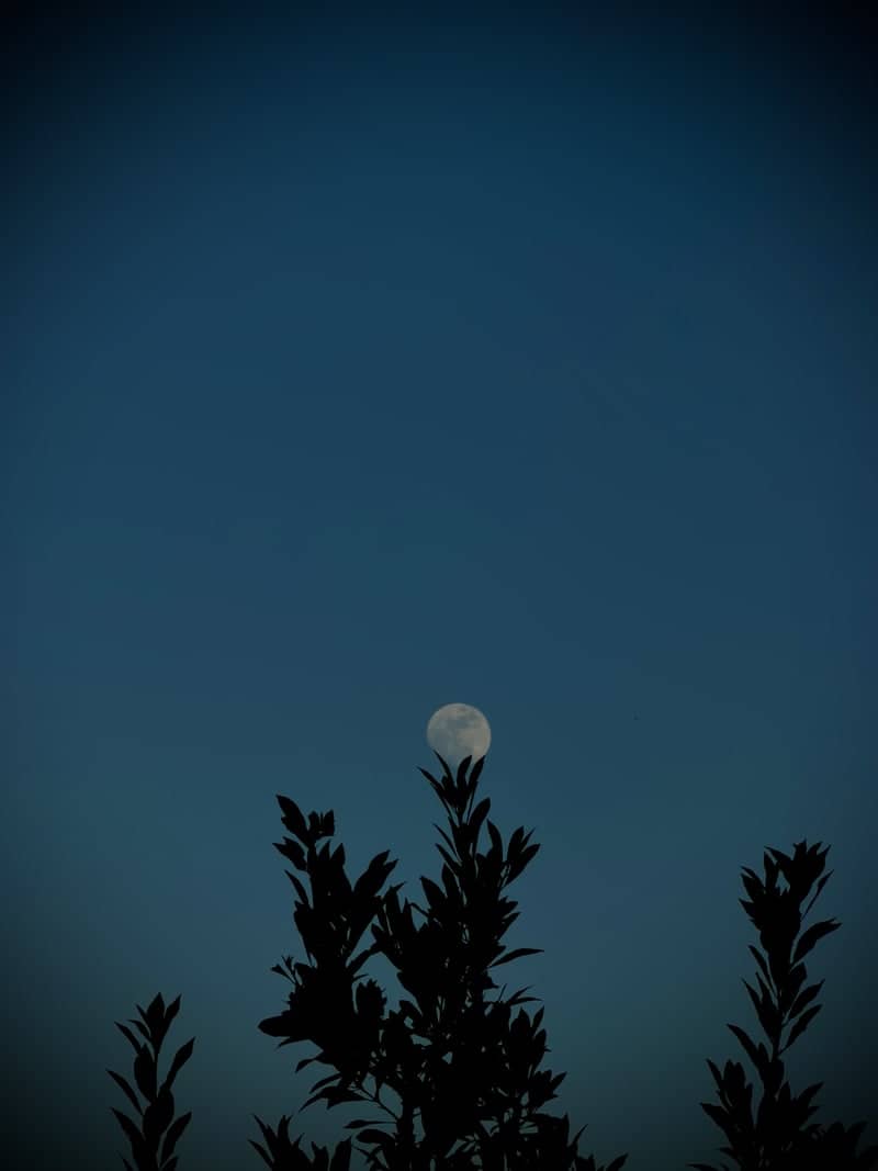 Mevaseret Zion Moonrise - Image 1