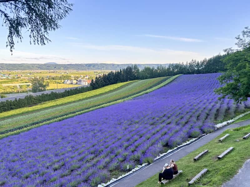 Choei Lavender Farm - Image 1