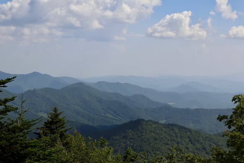 Roan Mountain Highlands - Image 1