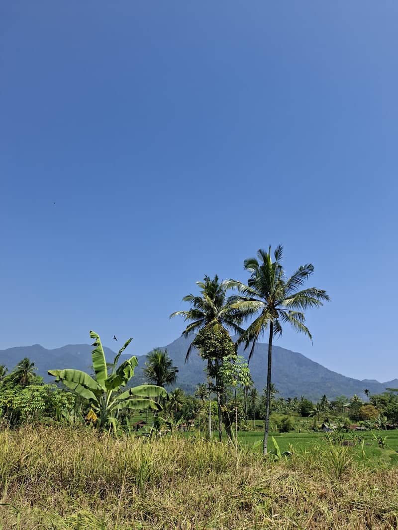 Subang Tropical Highlands - Image 1