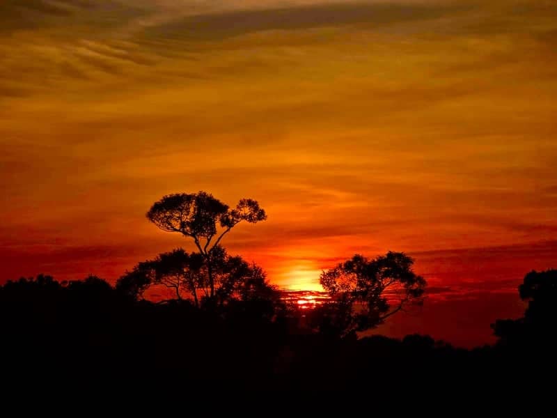 Pendang Rural Sunset - Image 1