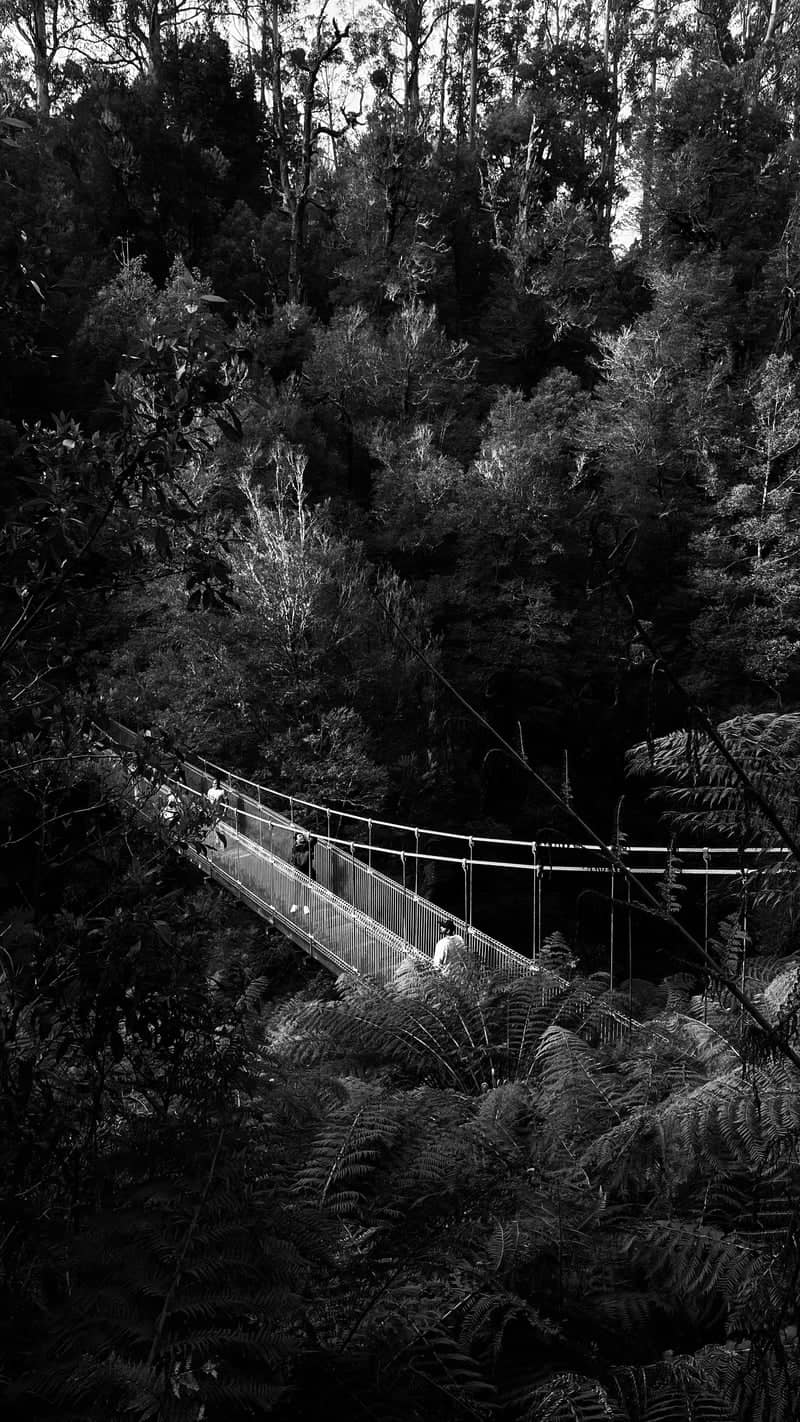 Corrigan's Suspension Bridge - Image 1