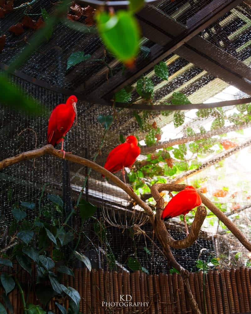 Beardsley Zoo - Image 1