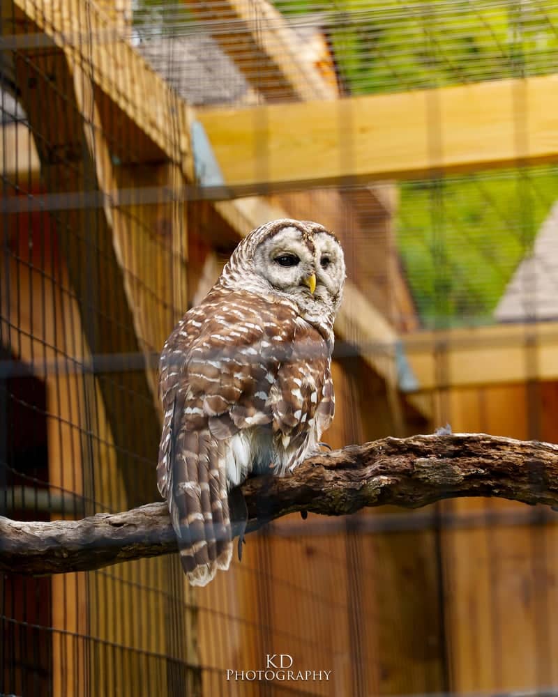 Beardsley Zoo - Image 1