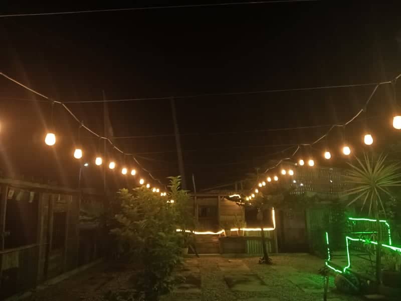 Illuminated Garden in Damak - Image 1