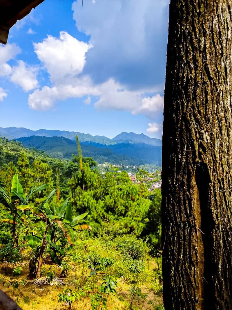 Batang Highland Viewpoint - Image 1