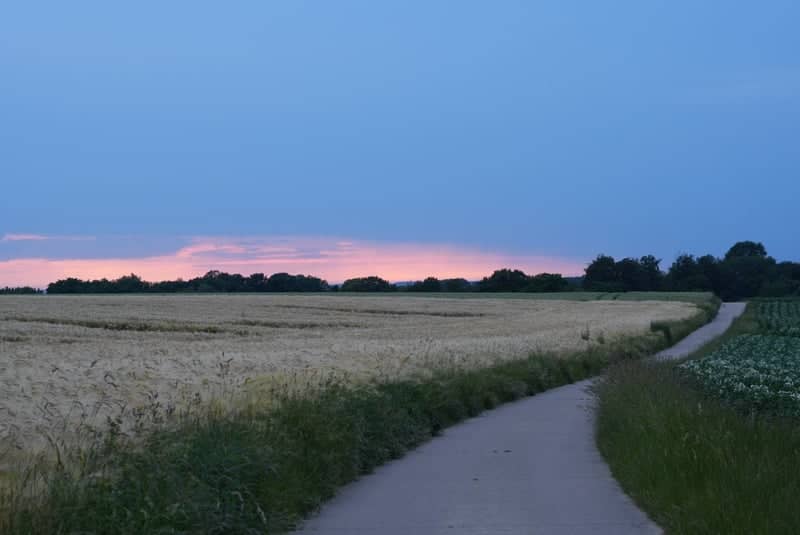 Beersel Countryside Path - Image 1