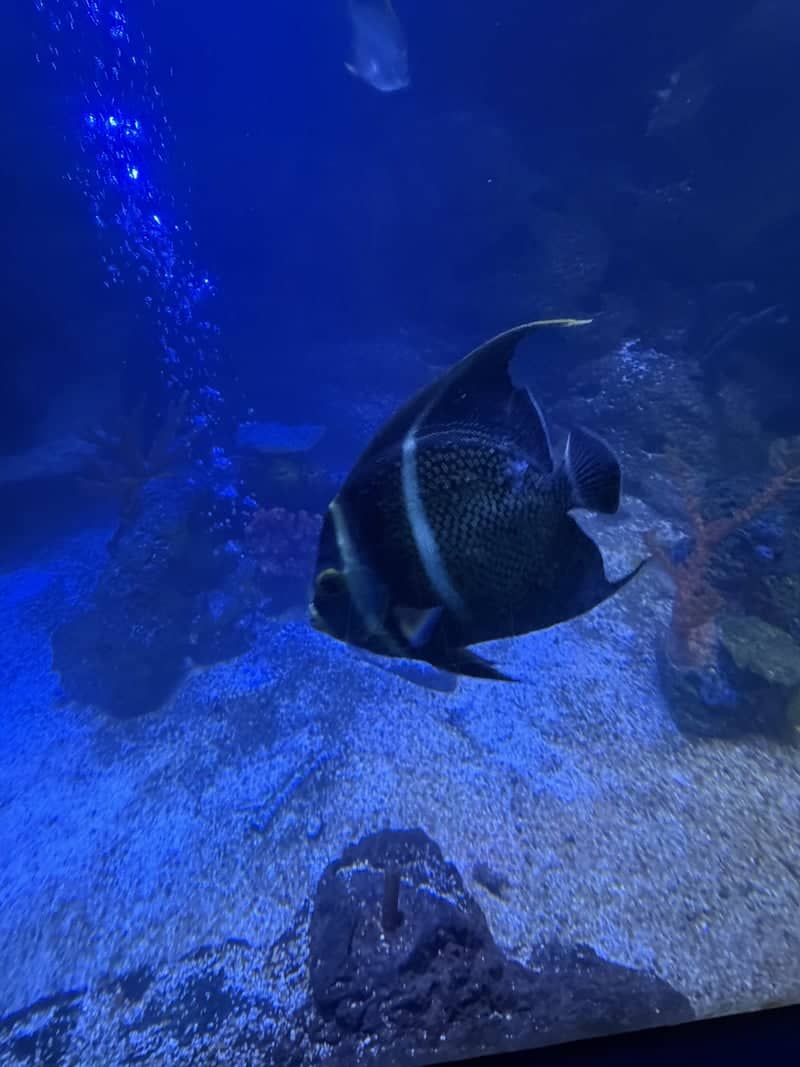 Gulf World Marine Park - Image 1