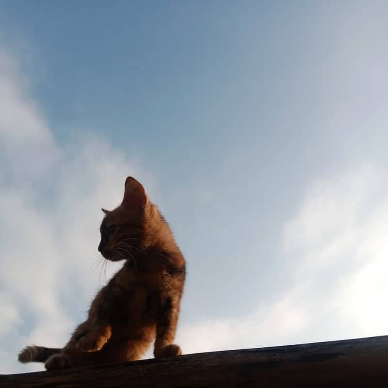 Garut Rural Rooftop - Image 1