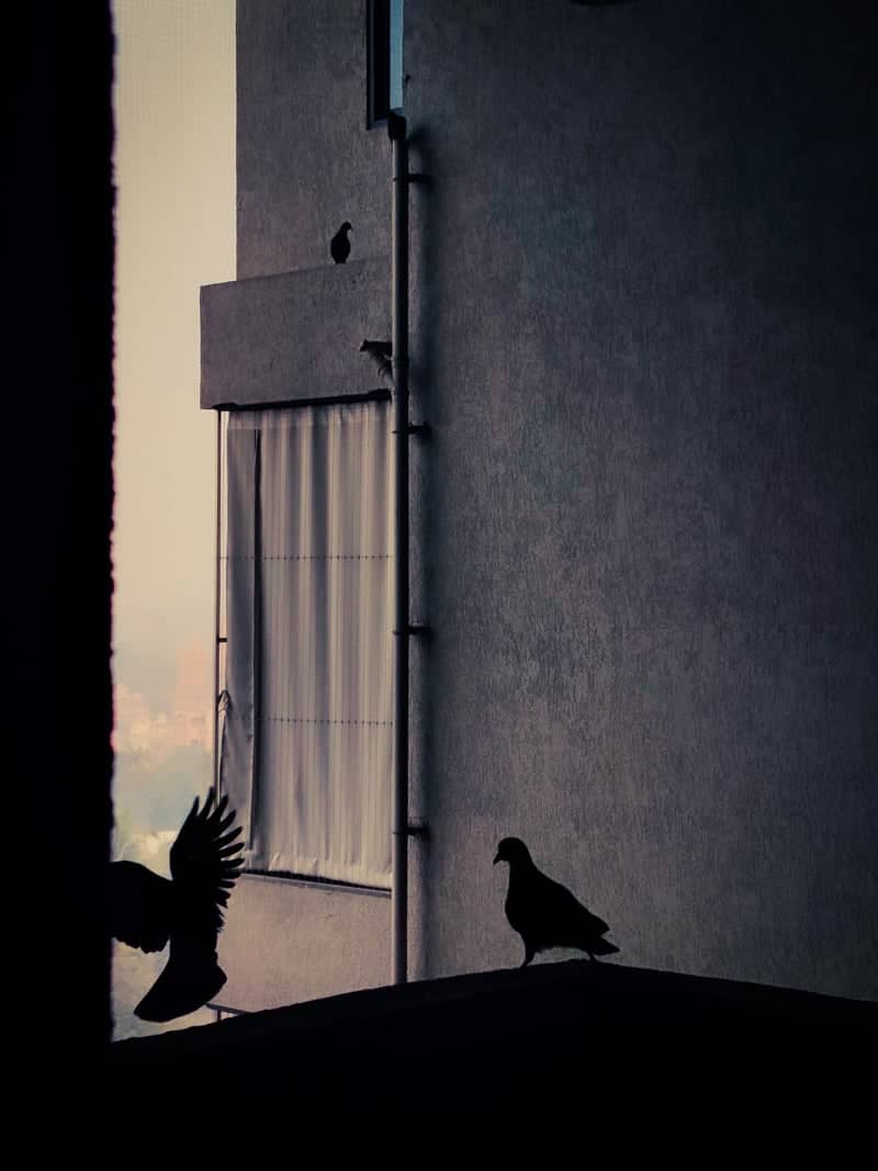 Surat Urban Balcony - Image 1