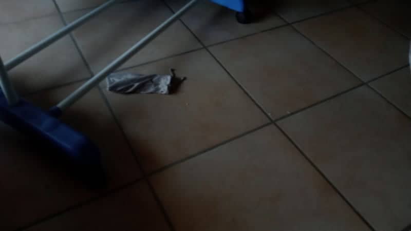 San Martino Buon Albergo Interior - Image 1