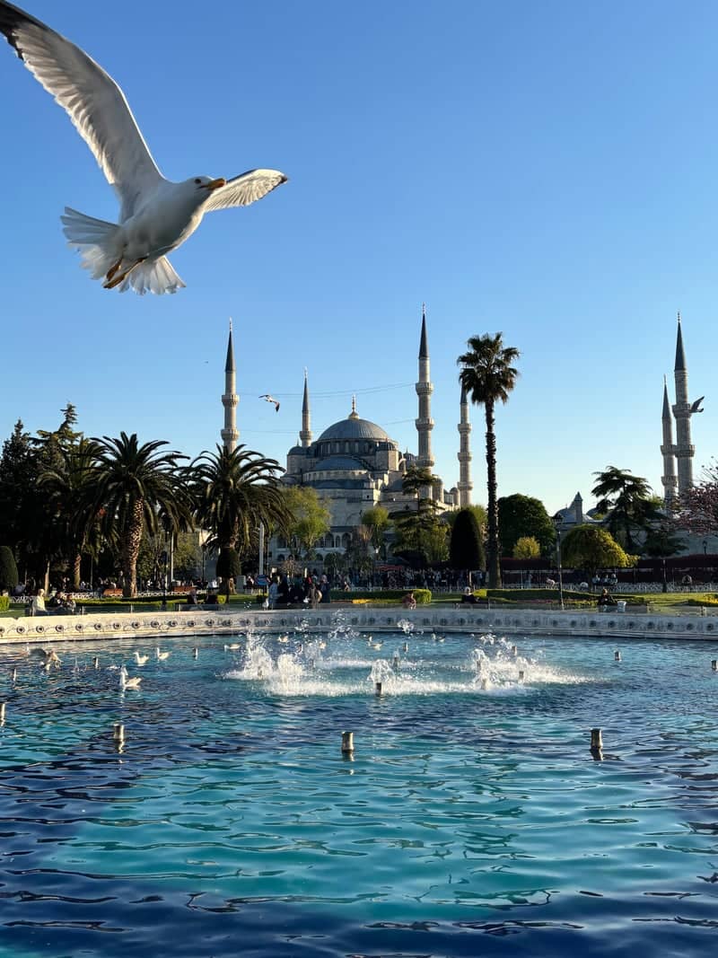 Blue Mosque from Sultanahmet Square - Image 1