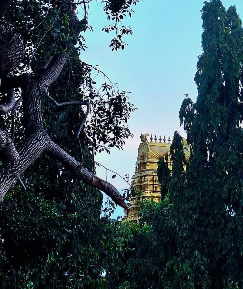 Madhya Kailash Temple View - Image 1