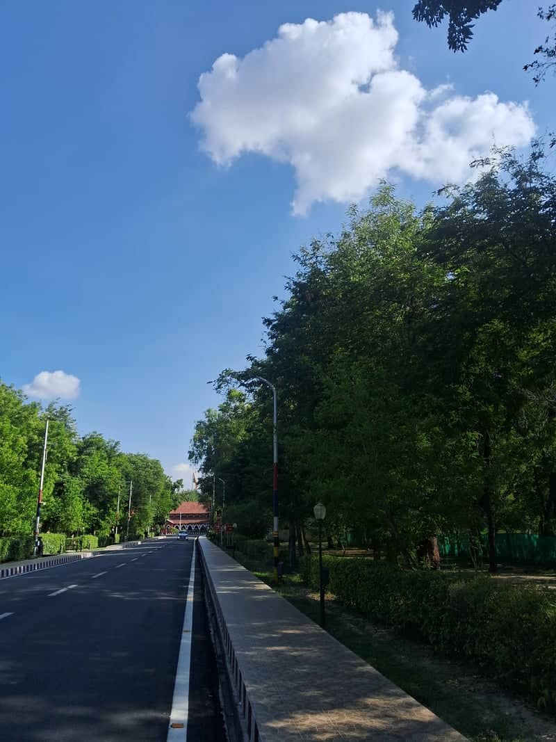 University of Allahabad Campus Road - Image 1