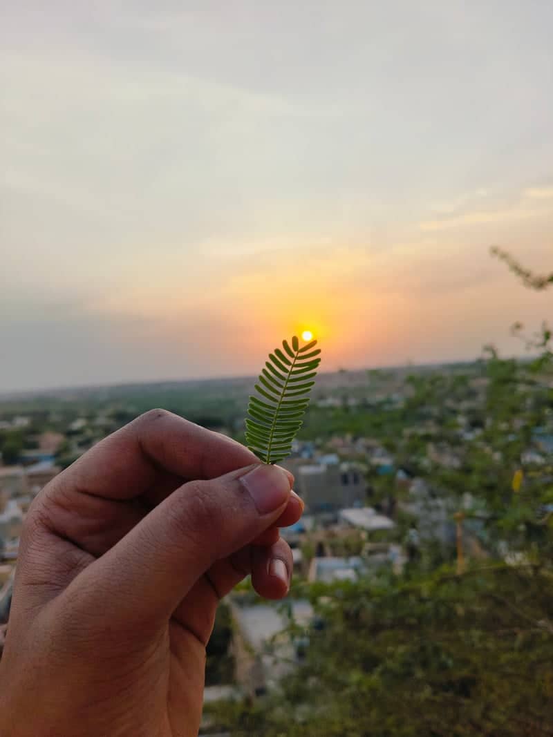 Jaisalmer City Viewpoint - Image 1