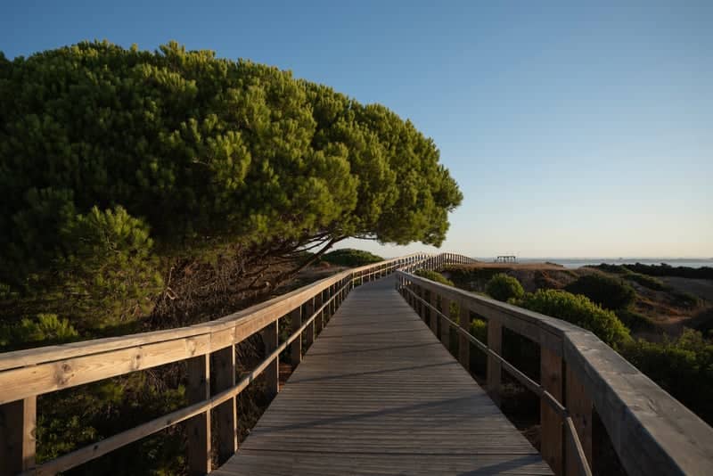 Lagos Coastal Boardwalk - Image 1