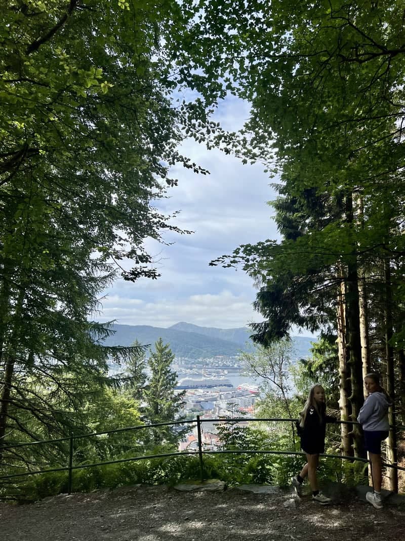 Mount Fløyen Viewpoint - Image 1