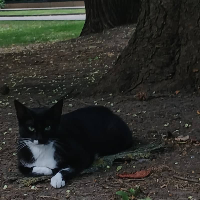 St. George City Park - Image 1