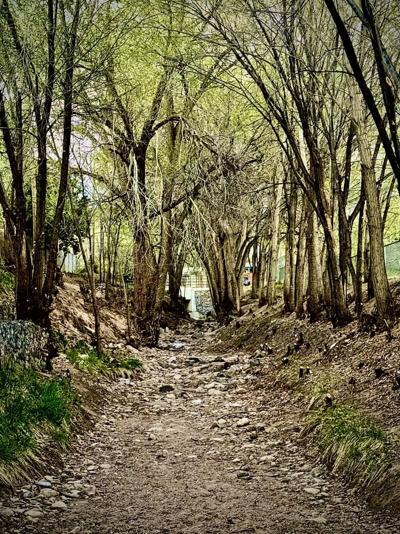 Arroyo de los Chamisos Greenway - Image 1
