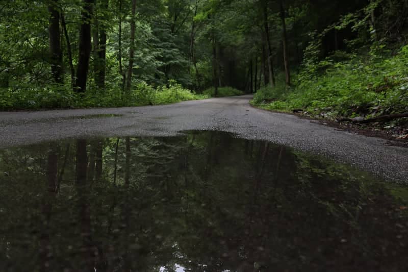 Liptovská Štiavnica Forest Road - Image 1