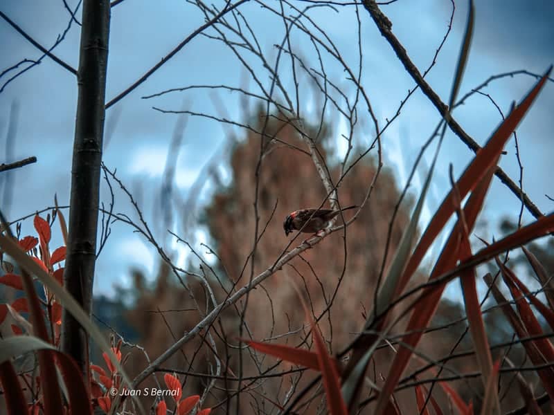 Sesquilé Nature Trails - Image 1