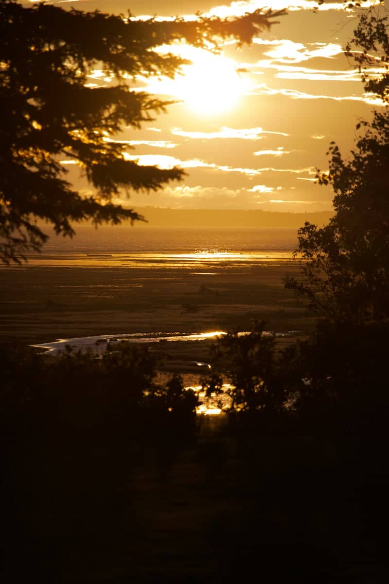 Turnagain Arm Sunset Overlook - Image 1