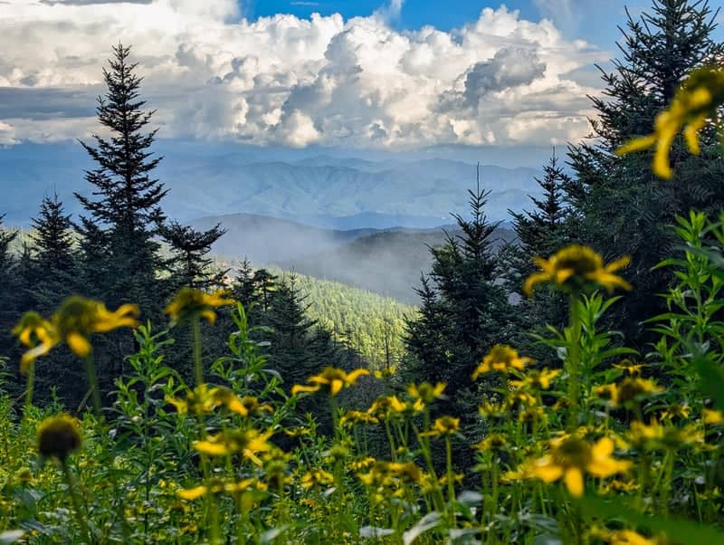 Newfound Gap Road Overlook - Image 1