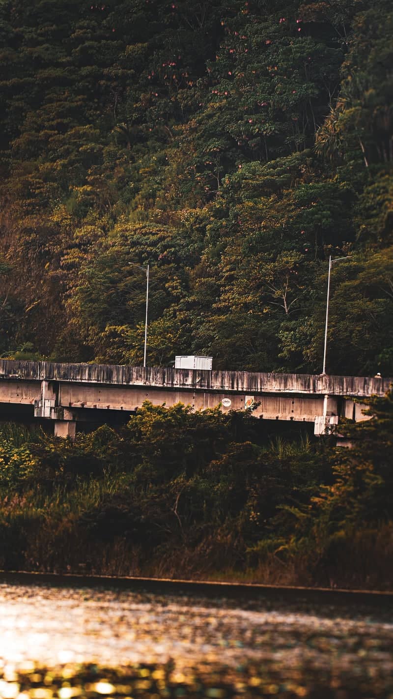 Tabanan Forest Bridge - Image 1