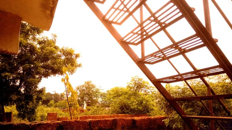 Chandaka Forest Overlook - Image 1