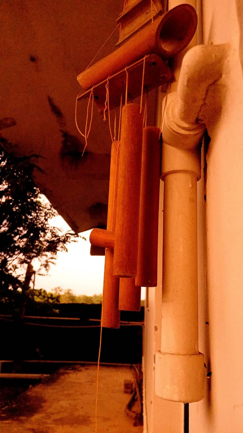 Chandaka Forest Retreat - Image 1