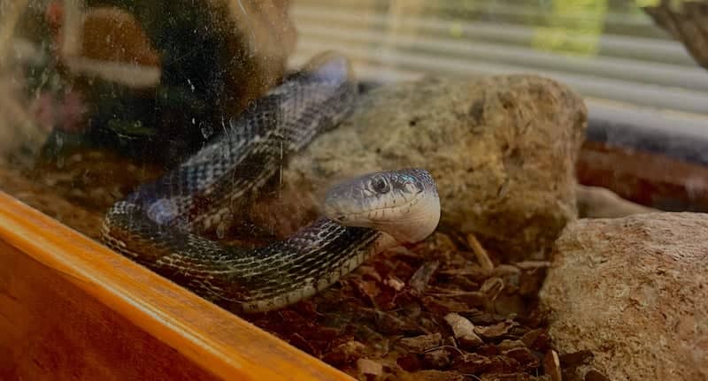 Woodlands Nature Station - Image 1