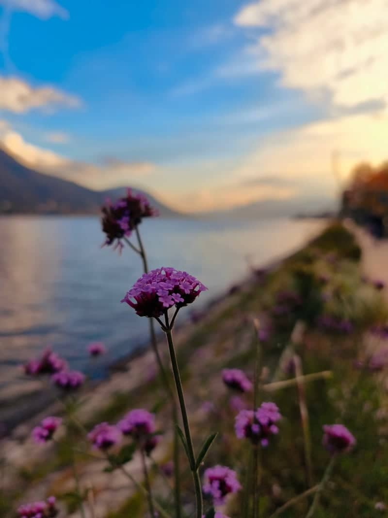 Lake Orta Promenade, Omegna - Image 1