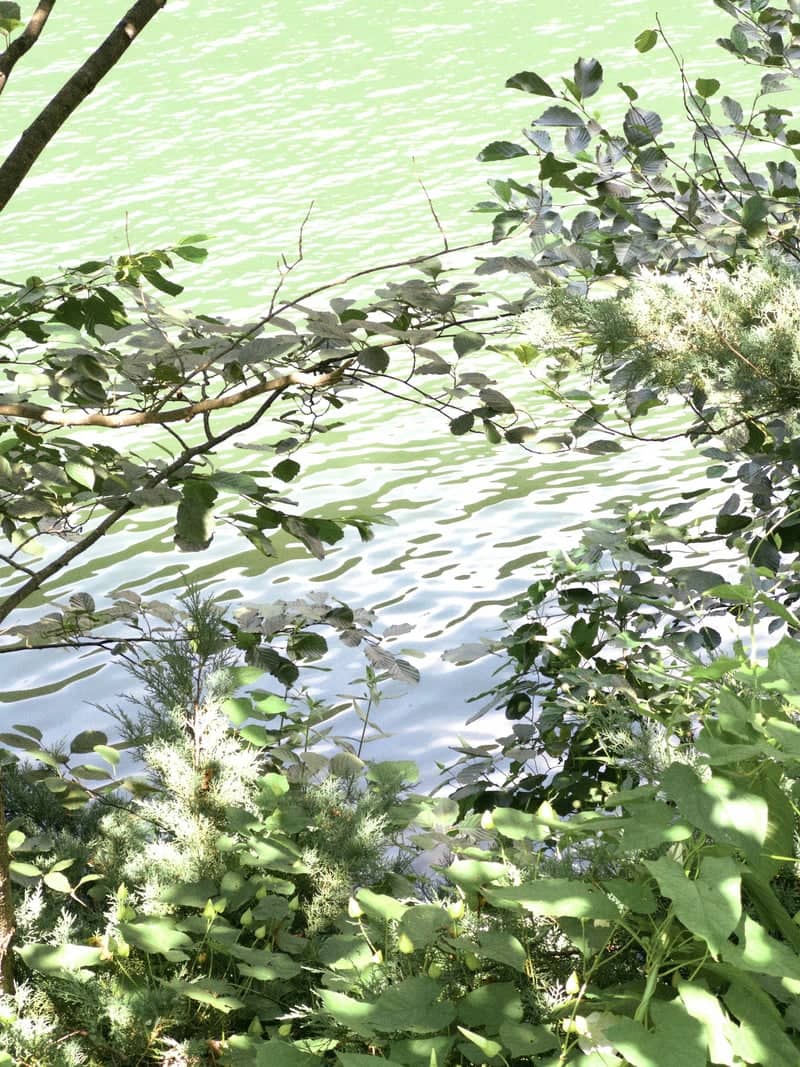 Çukurçayır Nature Overlook - Image 1