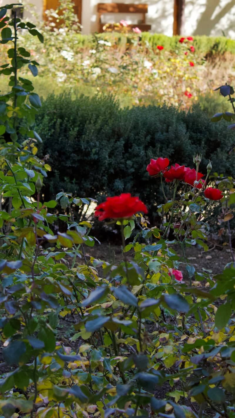 Casas de Lo Matta Gardens - Image 1