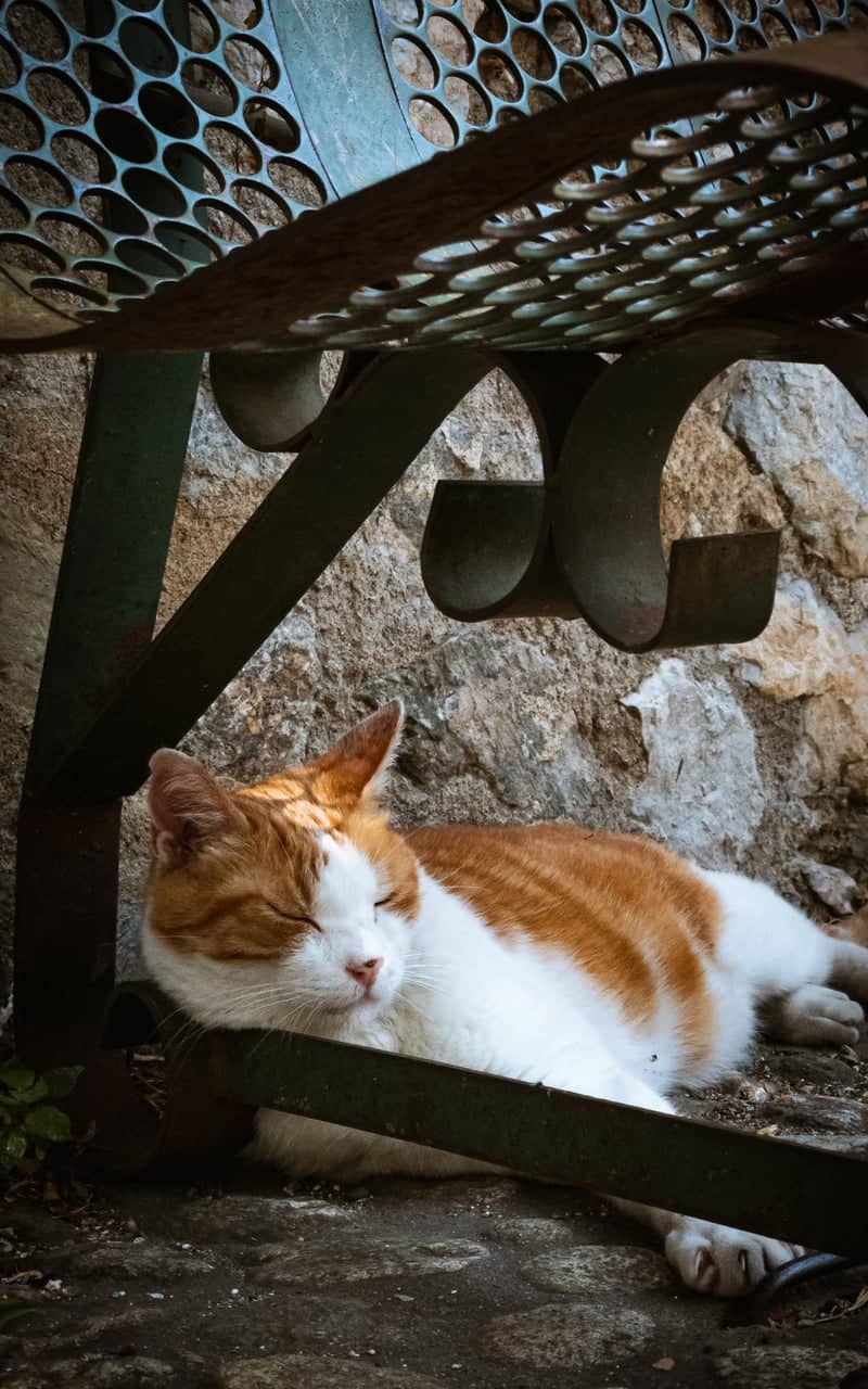 Villefranche-de-Conflent Medieval Village - Image 1