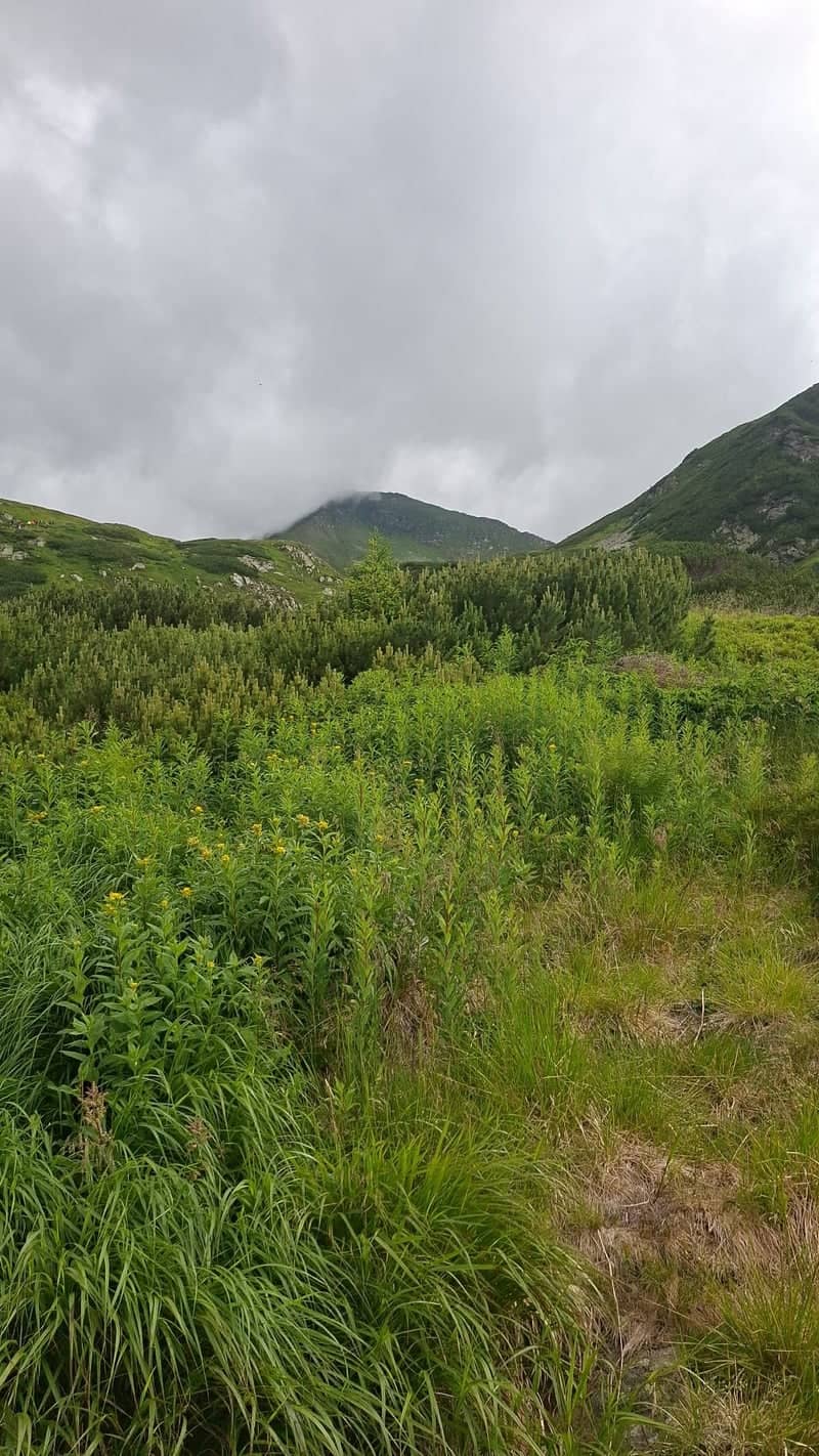 Rodna Mountains National Park - Image 1