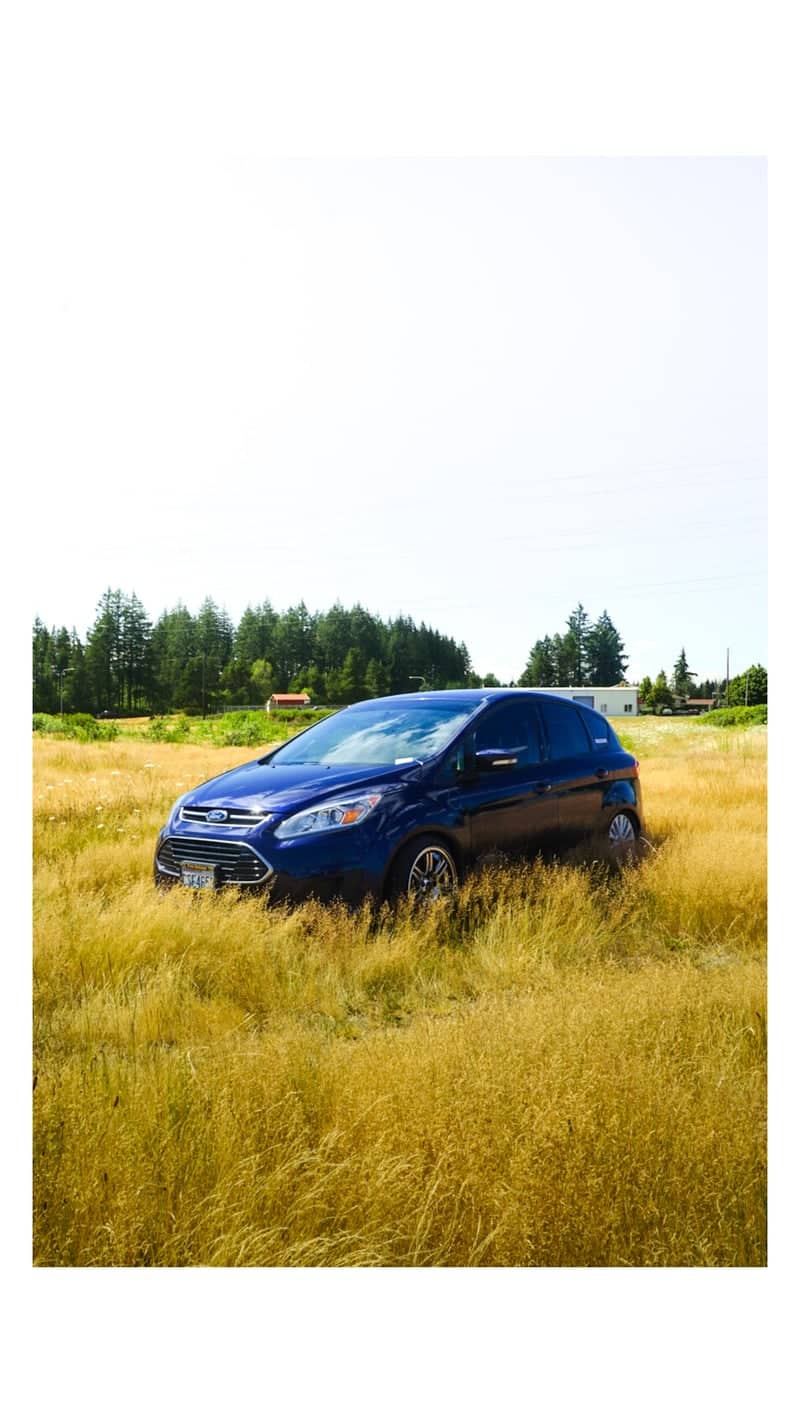 Olympic Highway Grasslands - Image 1