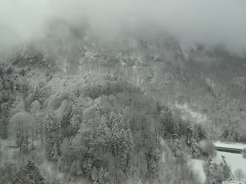 Misty Winter Mountain Slope - Image 1