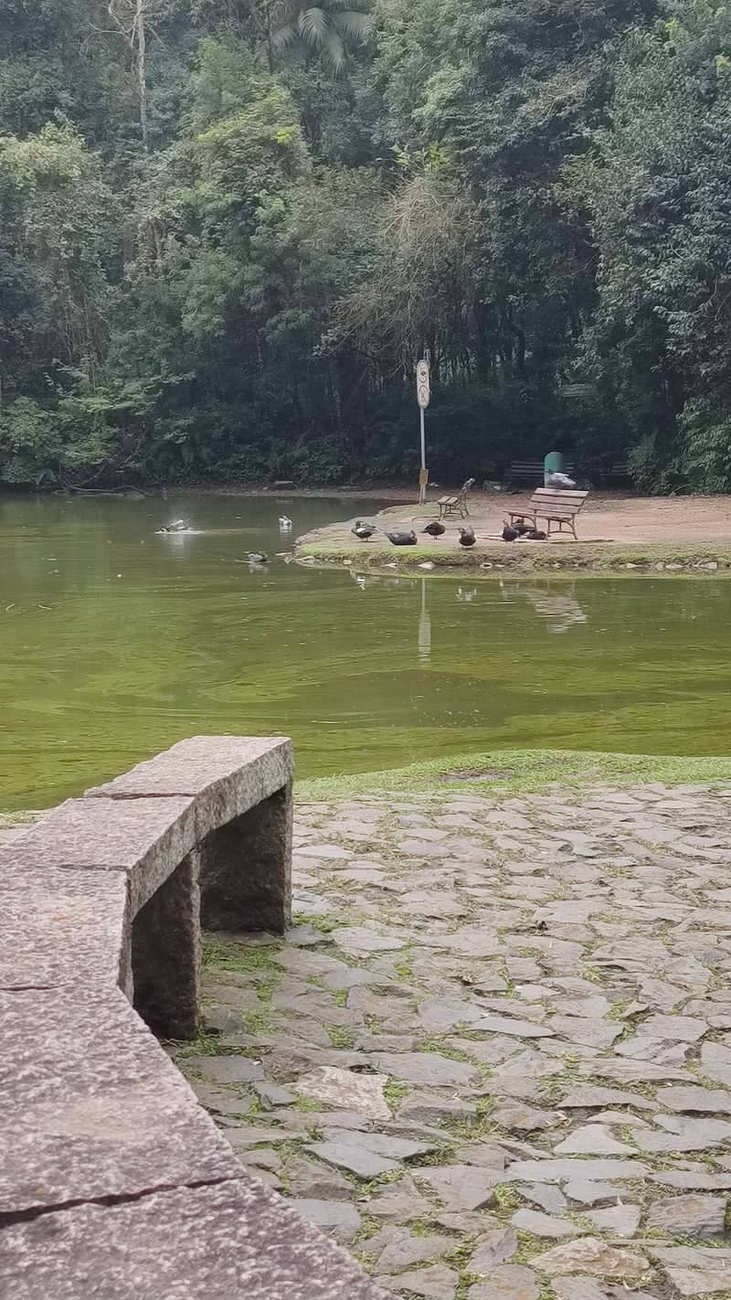 Parque Vista Alegre - Image 1