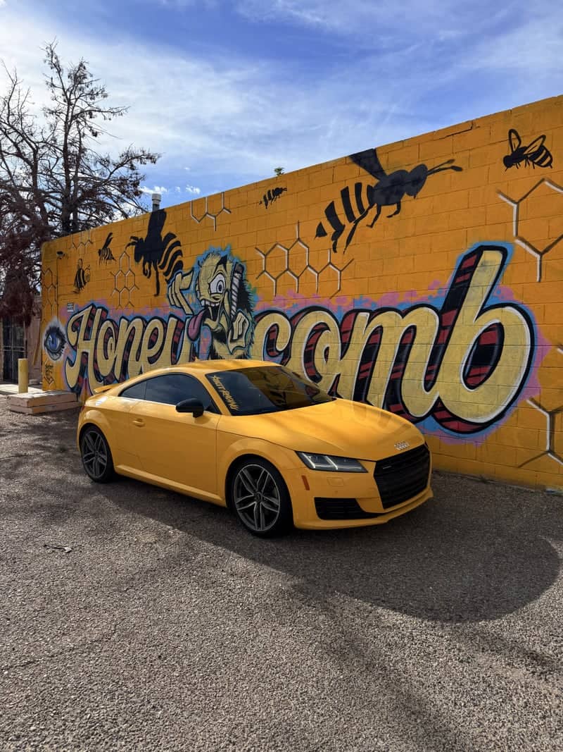 Honey Comb Mural - Image 1