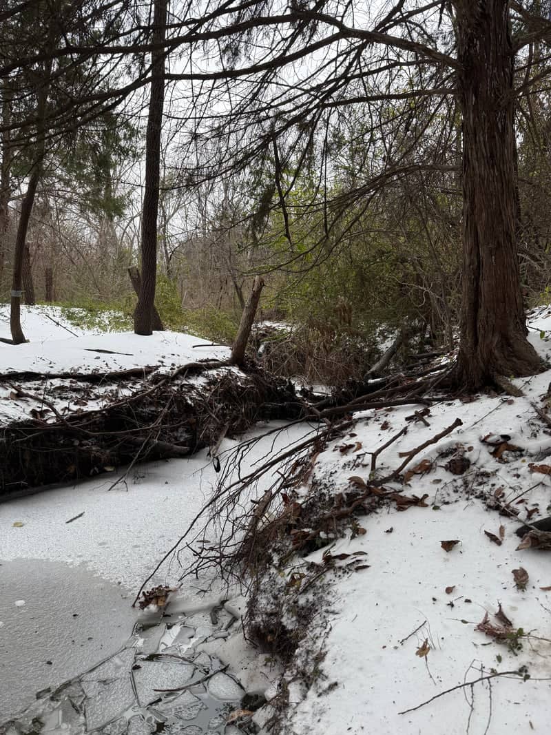 EpicCentral Park Creek - Image 1