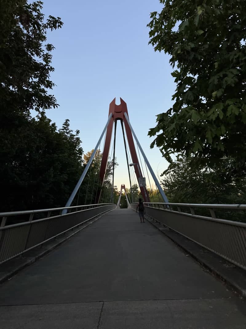 Peter DeFazio Pedestrian Bridge - Image 1