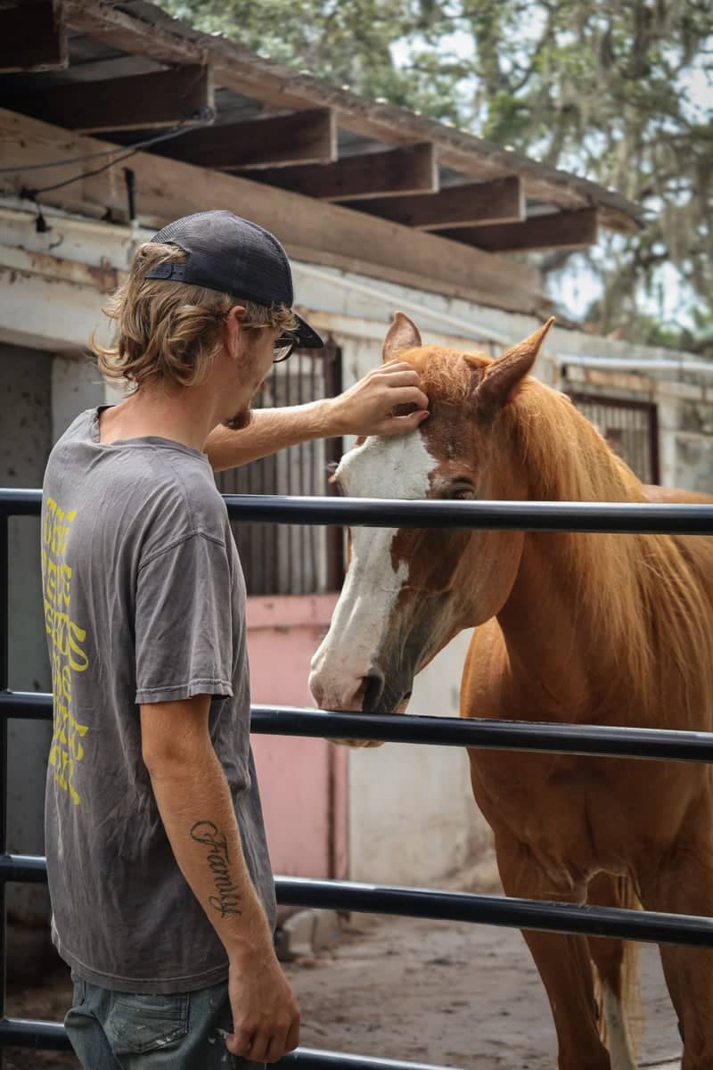 New Port Richey Horse Stables - Image 1