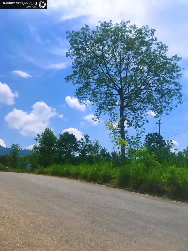 Patalekhet Rural Road - Image 1