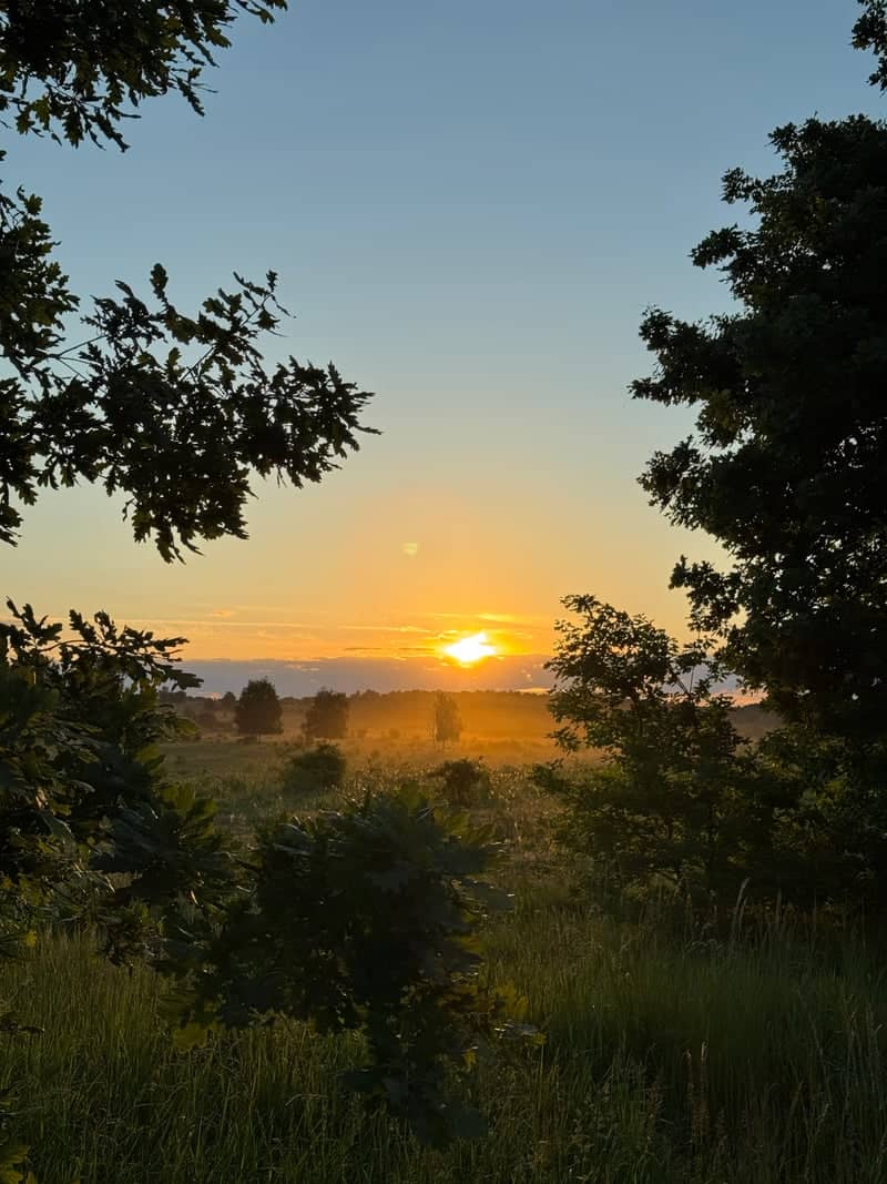 Milovice Nature Reserve - Image 1