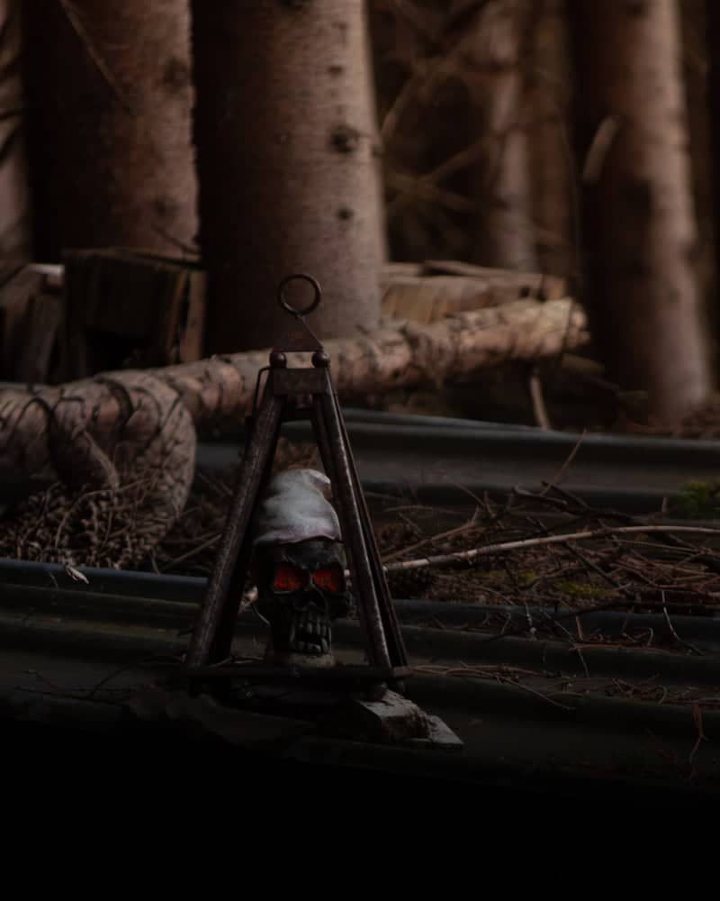 Moody Woodland Still Life - Image 1